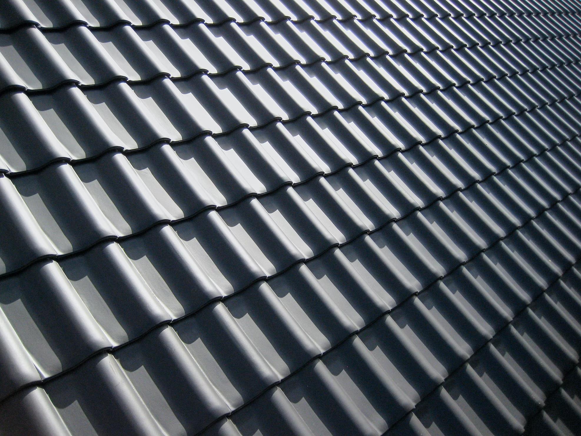 roof cleaning