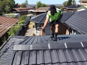 Tips for Cleaning Your Own Roof