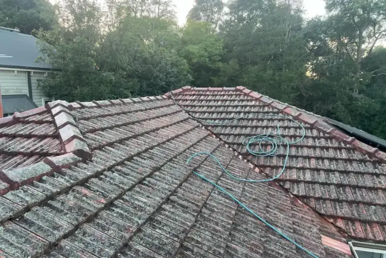 Blaxland roof before restoration