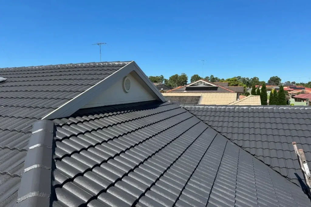 Roof repairs in the Hills District