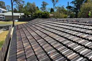 Blue Mountains - Hazelbrook