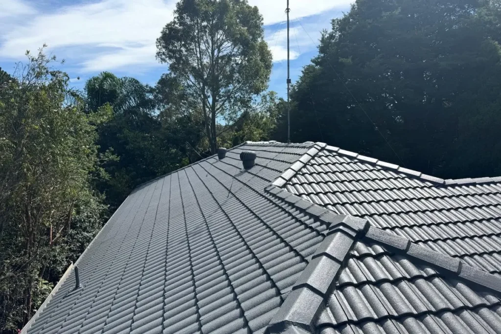 Blue Mountains - Lawsom - Whirly