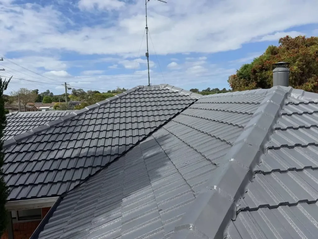 Roof Restoration in Narellan